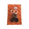 Kit de retenes Hawk 1520 NMT